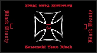 Bruno Race Carpet für Kawasaki Team Black